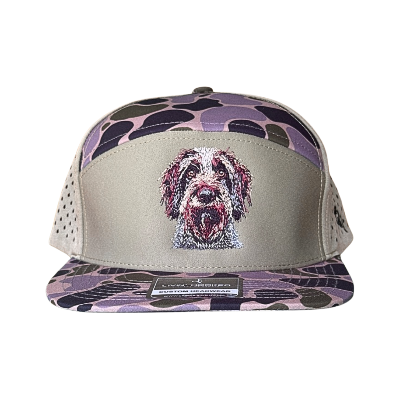 German Wild Hair Pointer