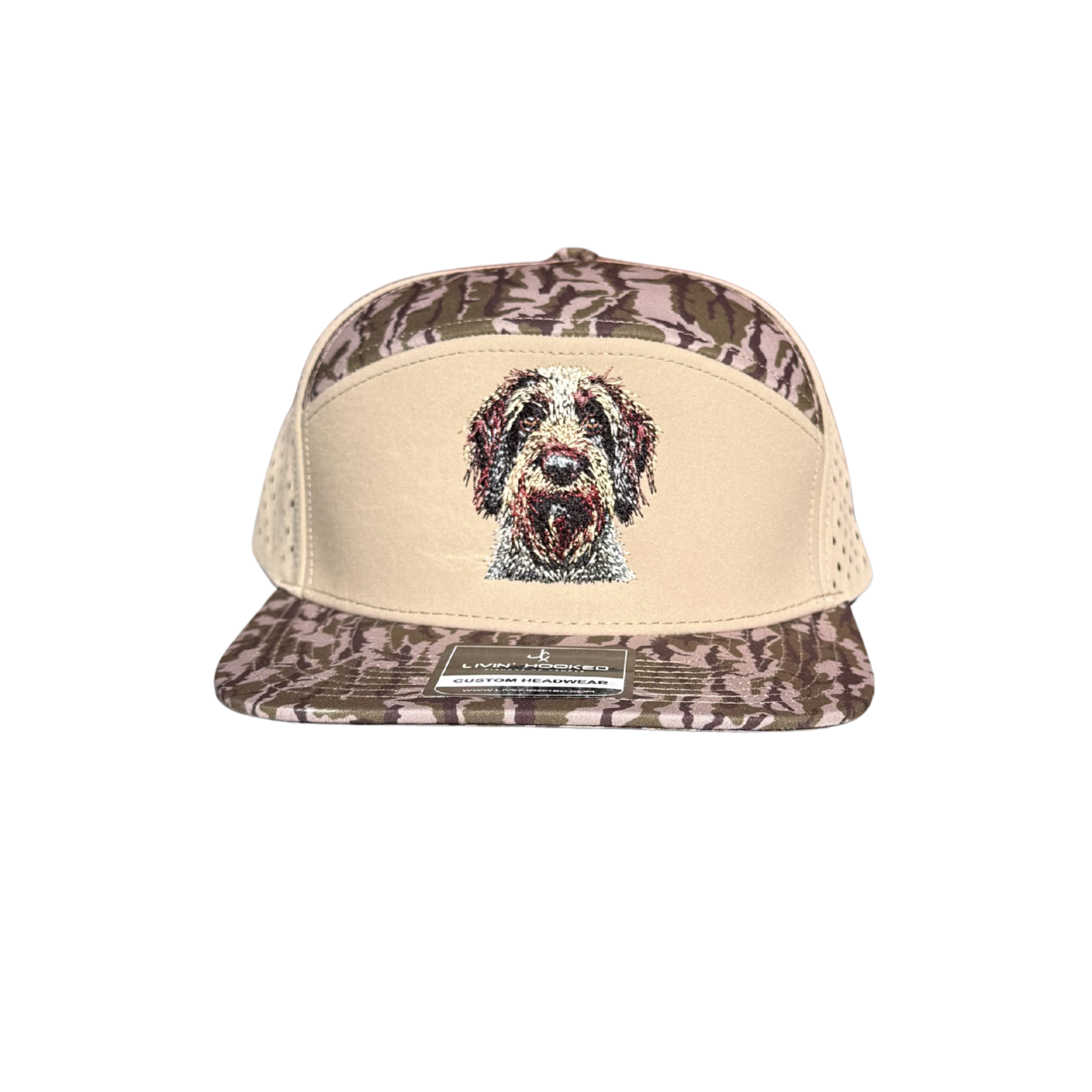 German Wirehaired Pointer