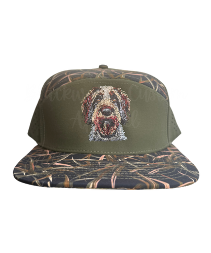 German Wirehaired Pointer