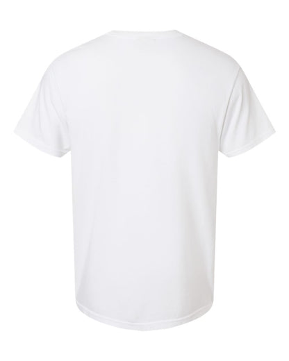 Comfort Colors 1717