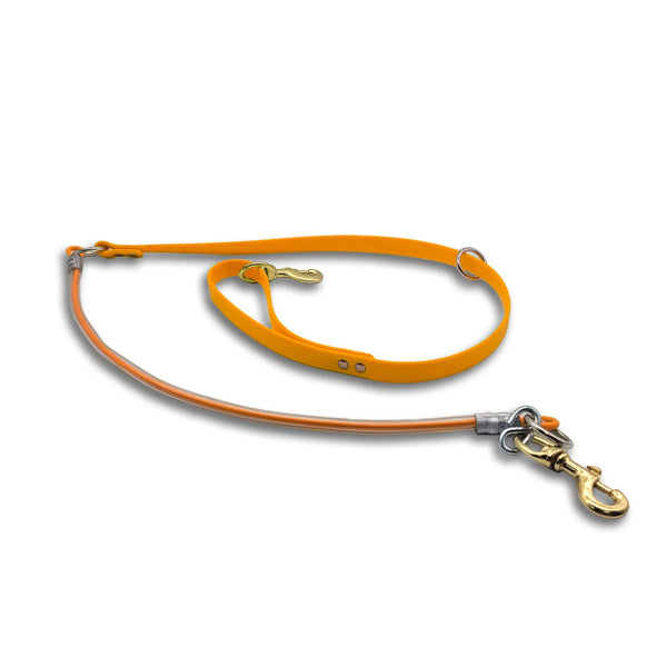 5 ft Beta & Cable Lead Leash