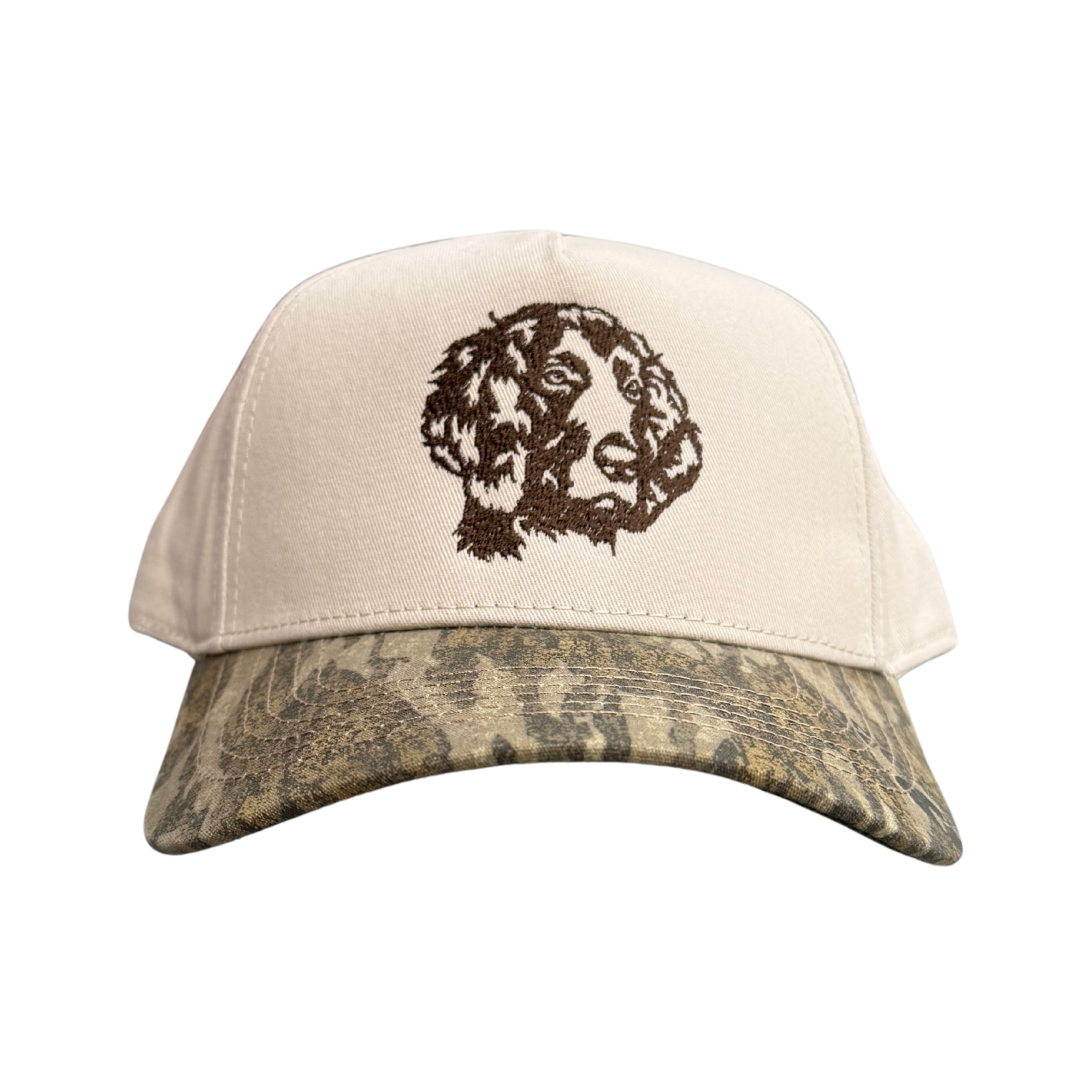 𝕋𝕙𝕖 𝔹𝕠𝕪𝕜𝕚𝕟