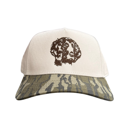 𝕋𝕙𝕖 𝔹𝕠𝕪𝕜𝕚𝕟