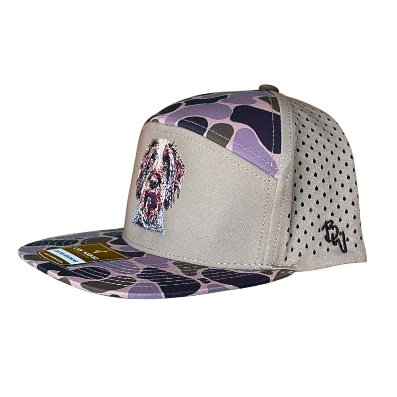 German Wild Hair Pointer