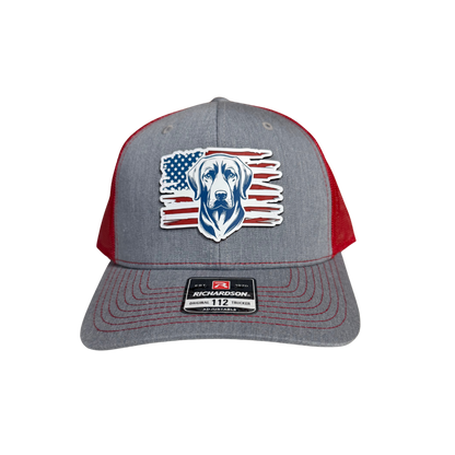 ᴀᴍᴇʀɪᴄᴀɴ ʟᴀʙ