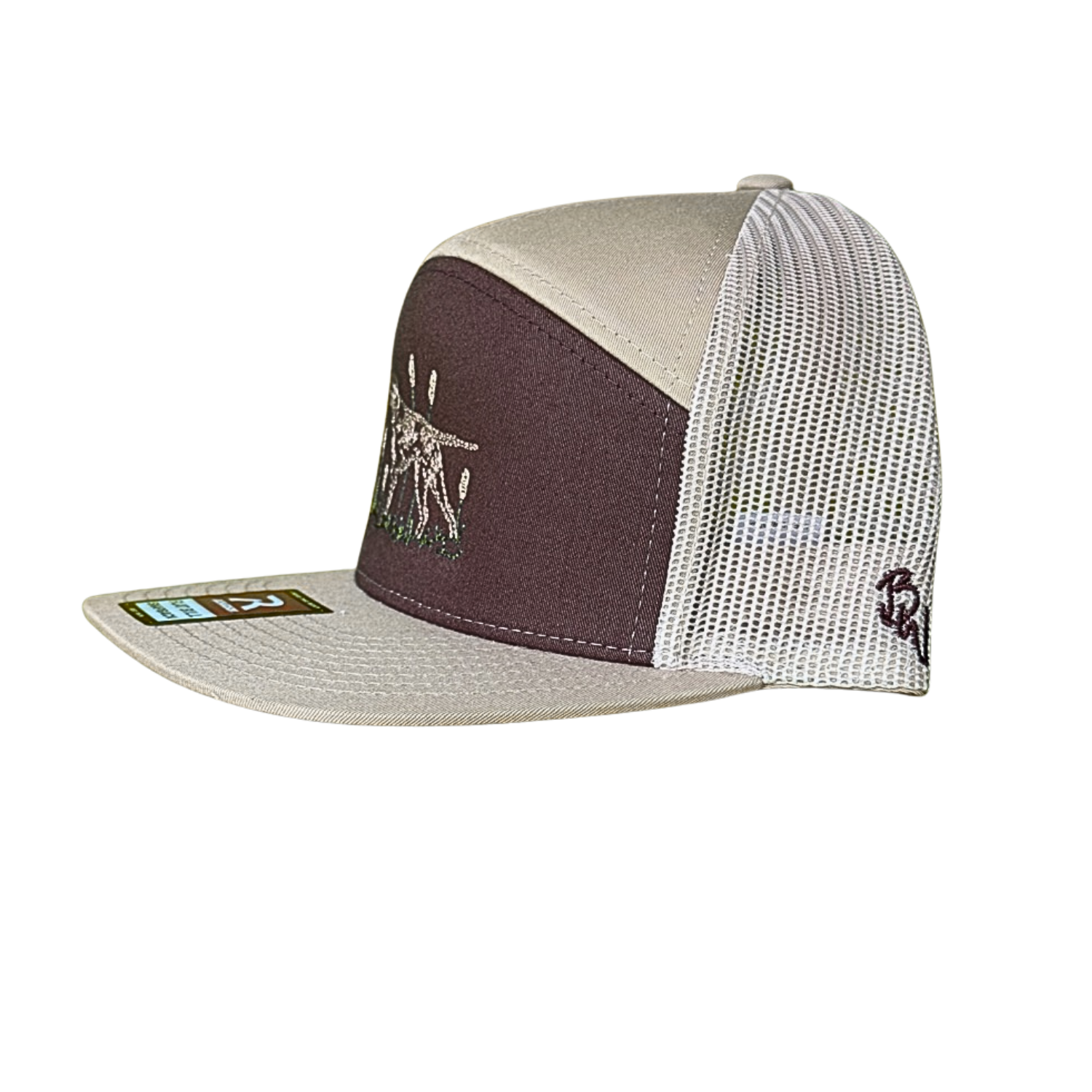 Short Haired Pointer